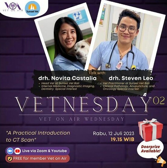 vetnesday02